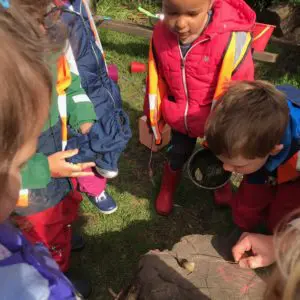 Children surround a snail on a log