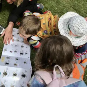Children crowd around a bug identification sheet in the forest