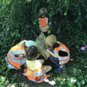 children in a tree