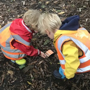 wild about play forest school outdoor learning putney common